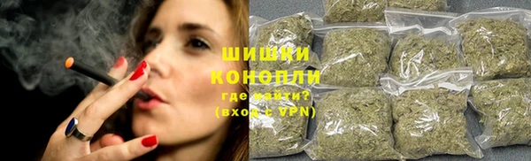 стаф Нея
