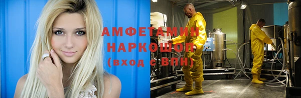 стаф Нея