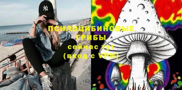 стаф Нея