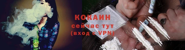 стаф Нея